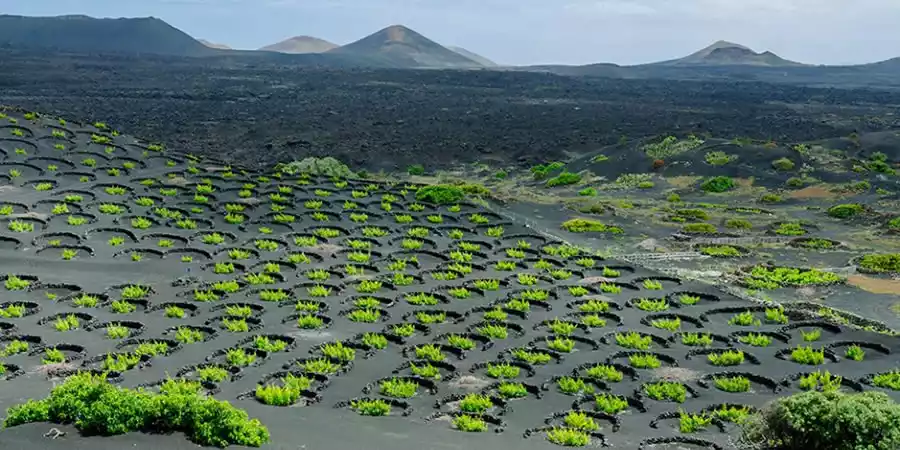 Lanzarote, historia y naturaleza 