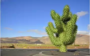 Lanzarote en solitario: recomendaciones para viajeros