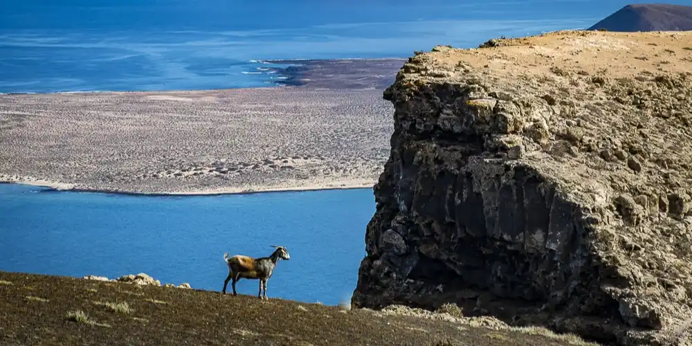 Proteger el medio ambiente y promover la cultura local en Lanzarote